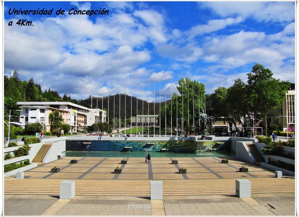 Casa San Valentin Hotel Concepcion Exterior photo